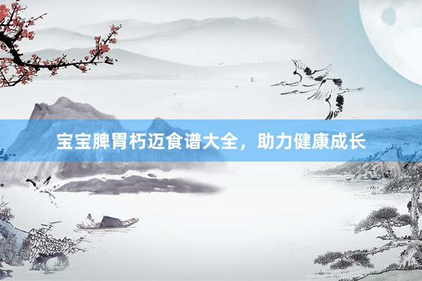 宝宝脾胃朽迈食谱大全，助力健康成长
