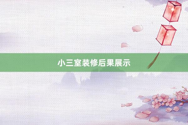 小三室装修后果展示