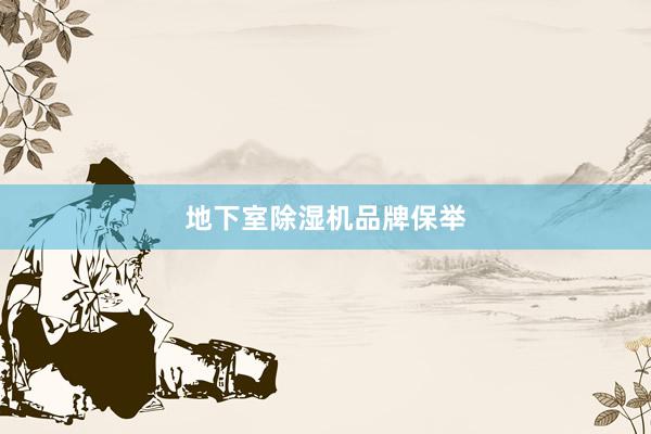 地下室除湿机品牌保举